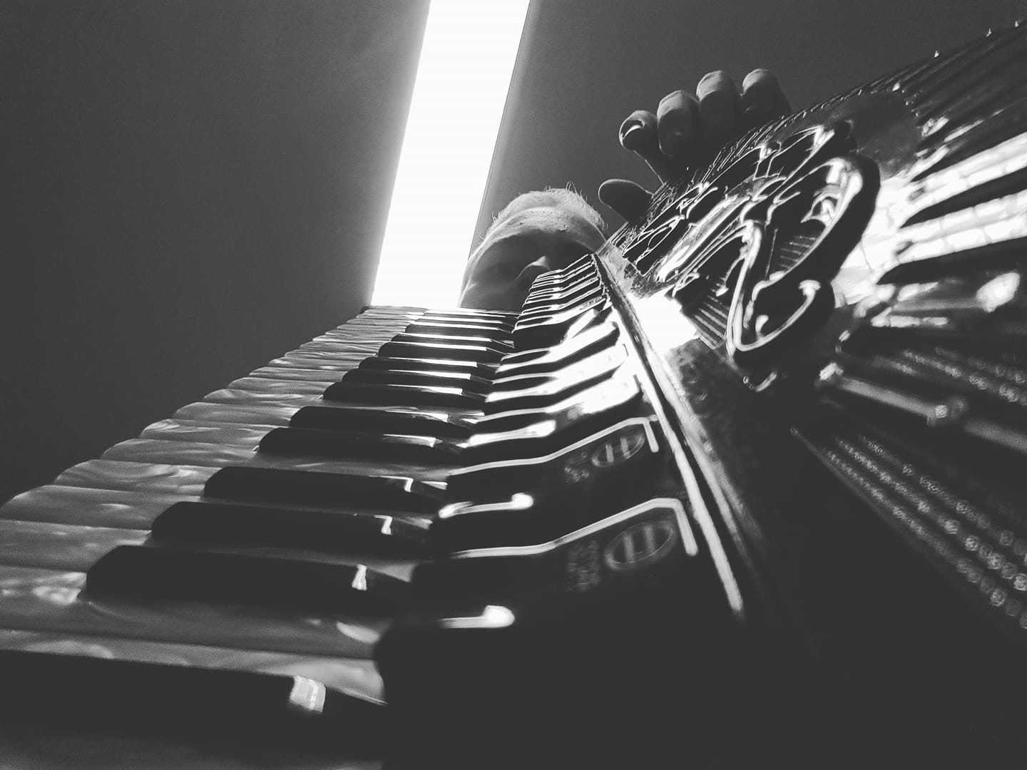 Accordion detail